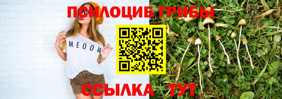Прокопьевск  Псилоцибиновые грибы прущие грибы  Вход с VPN 