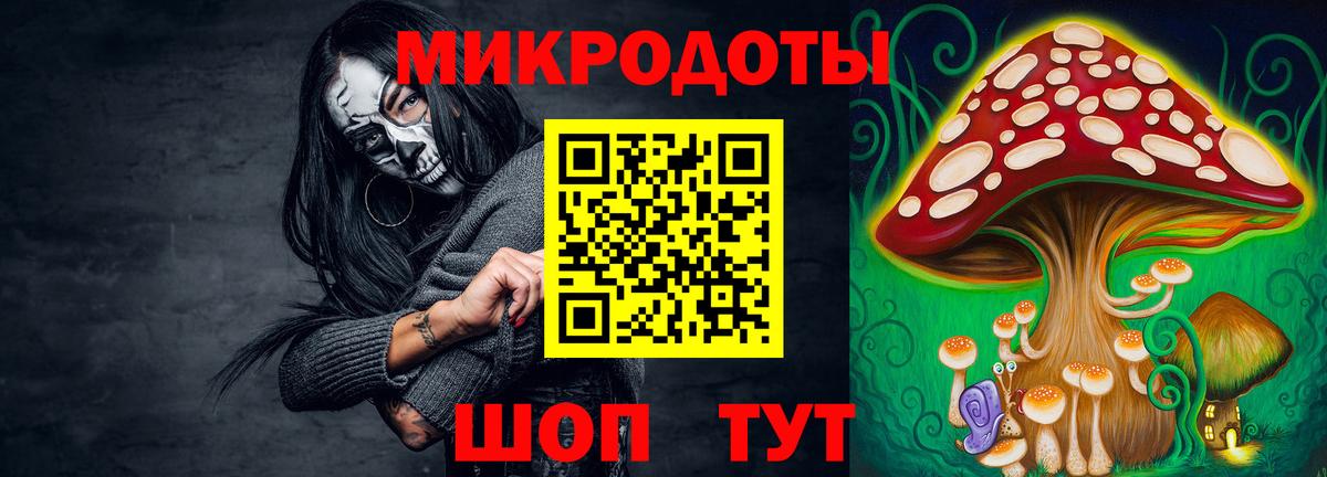 Псилоцибиновые грибы мицелий Прокопьевск
